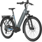 Gazelle Ultimate T10 Low-Step – Bild 11